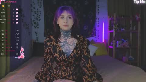 Ann online show from 11.12.25