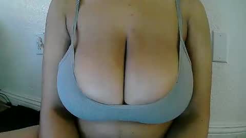 XiaoXiao  online show from 01.13.26