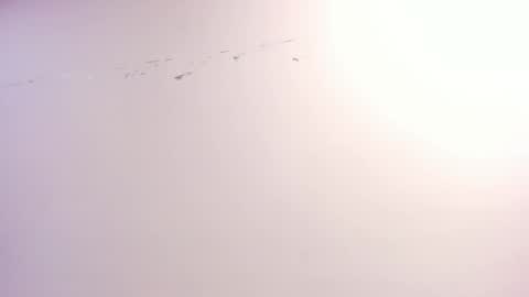 Xime  online show from 10.22.25