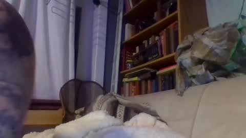 John online show from 12.17.24