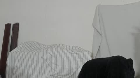 MetalstudMaster online show from 02.09.26