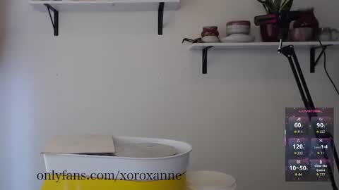 xoroxanne online show from 02.11.26