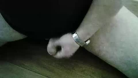 xyjjmop online show from 03.02.26