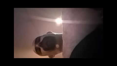 Xzbib online show from 04.04.26