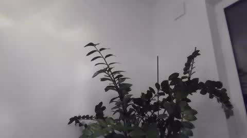 yakijoe online show from 10.22.25