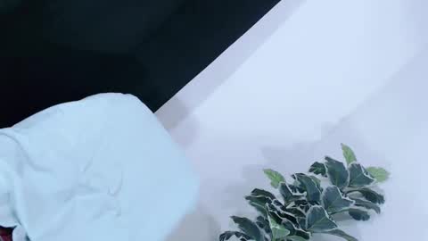 yams_kitty69 online show from 11.20.25