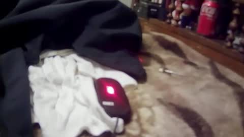 yangolox3 online show from 03.02.26