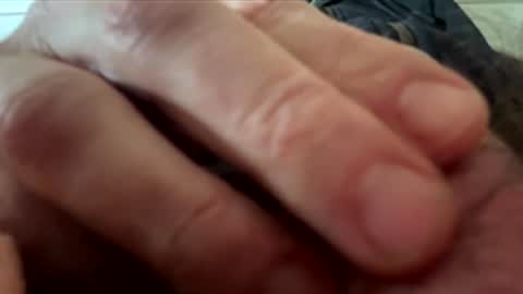 yappe75 online show from 04.21.26