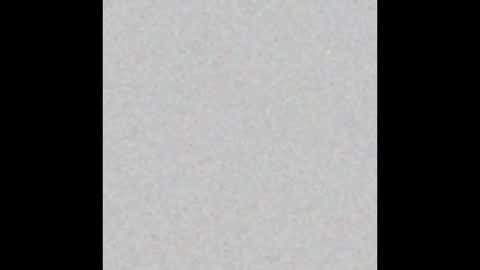 .     y e l l o w s n a k e s       . online show from 11.04.25