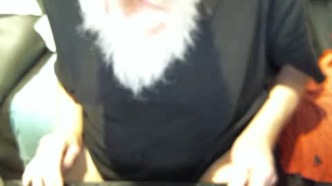 .     y e l l o w s n a k e s       . online show from 11.14.25