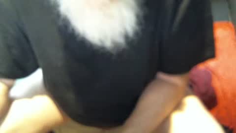 .     y e l l o w s n a k e s       . online show from 12.05.25