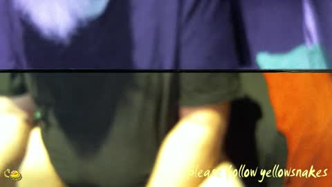 .     y e l l o w s n a k e s       . online show from 12.17.25
