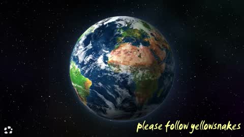 .     y e l l o w s n a k e s       . online show from 02.01.26