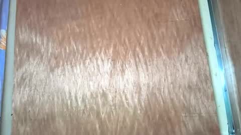 yhang_slut online show from 11.30.25