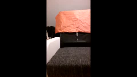 yhoxhbwehhzw online show from 04.20.26