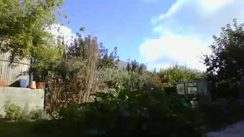 Yoann online show from 10.09.25