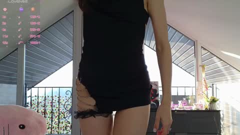  Wilma  online show from 01.27.25