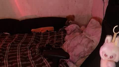 your_8a8y online show from 11.18.25