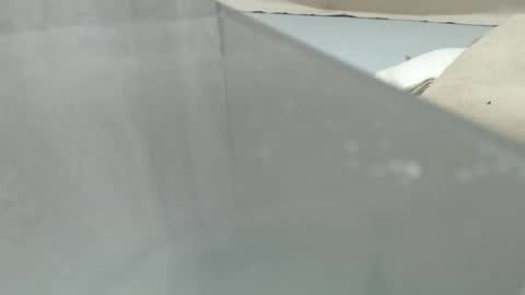 your_guy111 online show from 04.11.26