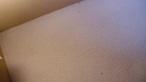 Sophiestar online show from 04.21.26