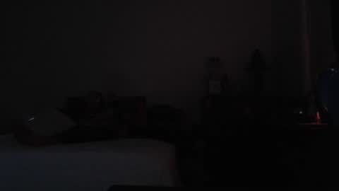 Snapshot of yourhighnessthis9inch chatting on 12.08.24 Sh online show from 12.08.24