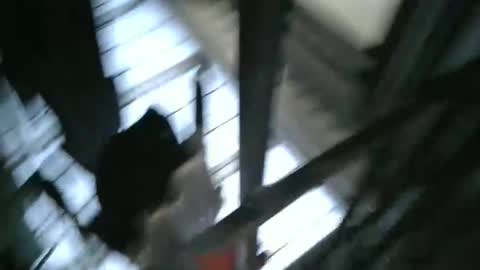 yourpersonalgeniusl online show from 12.15.24