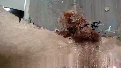 yourwishismypleasure1 online show from 11.17.25