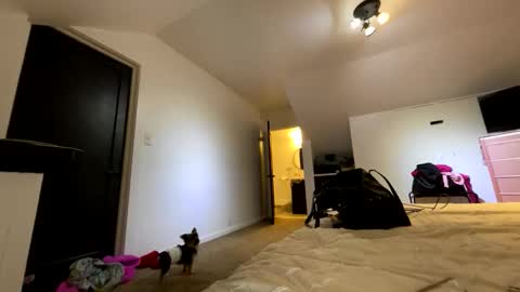 BbyTSSLut online show from 11.21.25