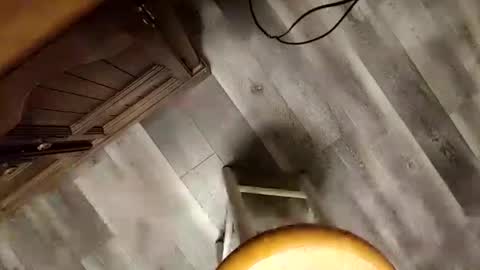 Snapshot of yupthatshim chatting on 01.23.25 yupthatshim online show from 01.23.25