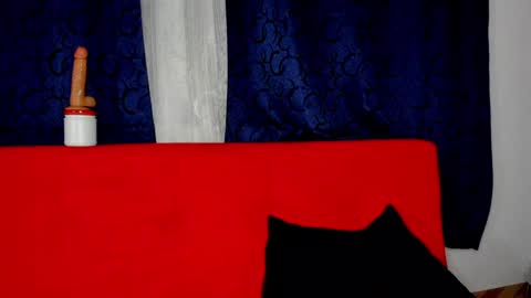 YURI AND MI BOY online show from 02.08.25