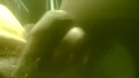 zaboski4 online show from 01.15.26