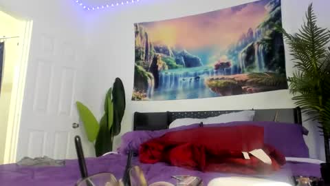 Zack Pipher online show from 03.30.26