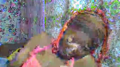 zarinamarlin online show from 04.03.26