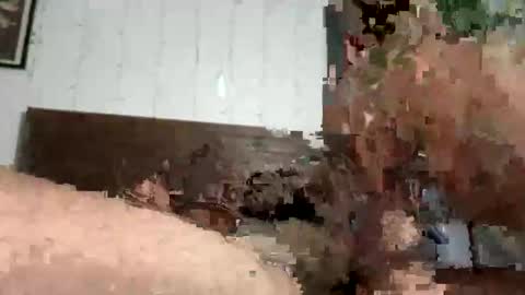 Snapshot of zayd3n69 chatting on 10.23.25 zayden online show from 10.23.25