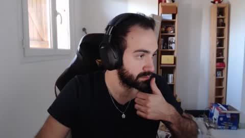 Grizzly Bear online show from 01.23.25