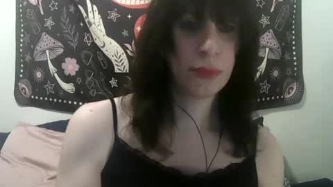 Snapshot of zeldasroom chatting on 01.17.25 Zelda online show from 01.17.25