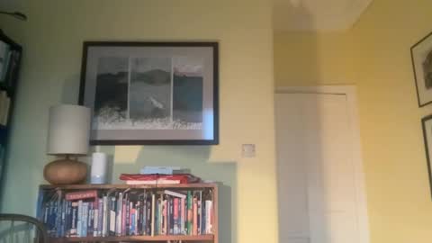 zephr1 online show from 12.10.24