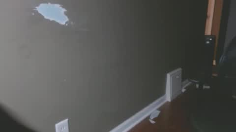 bambi cumslut online show from 02.12.25