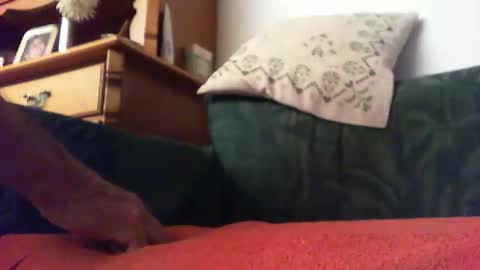 zevioo77 online show from 09.14.25