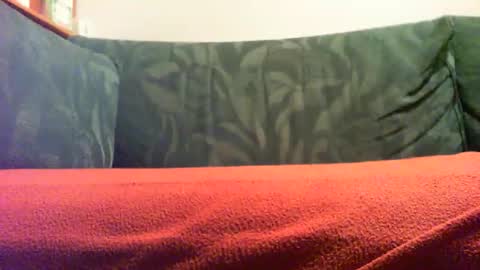 zevioo77 online show from 09.18.25