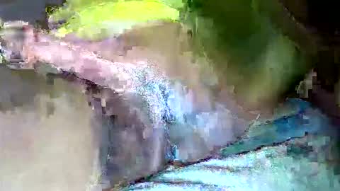 zimzim_ online show from 10.31.25