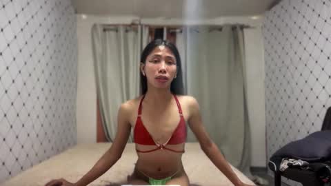 Zinnia nics online show from 11.19.25