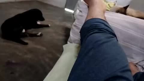 Snapshot of zitojose73 chatting on 10.08.25 zitojose73 online show from 10.08.25