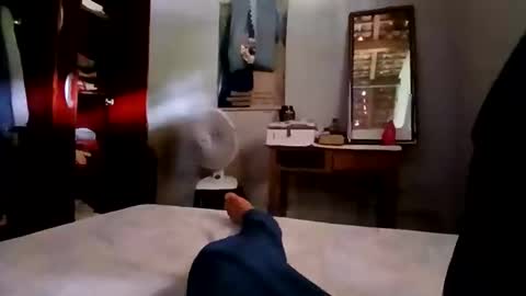 Snapshot of zitojose73 chatting on 11.04.25 zitojose73 online show from 11.04.25