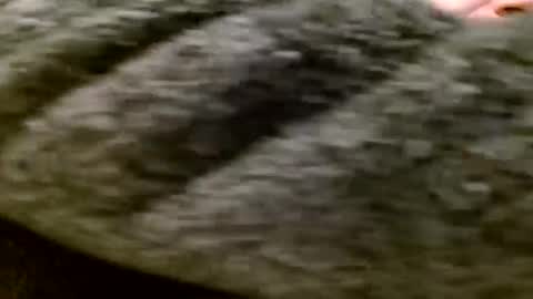 zolexthomas online show from 01.28.25