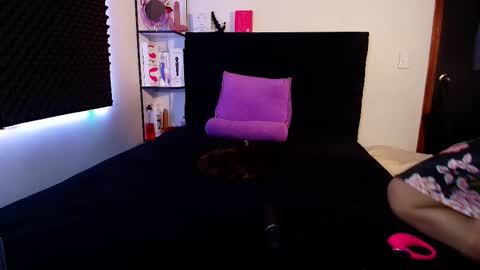 Snapshot of zpzphot chatting on 02.14.26 zpzphot online show from 02.14.26