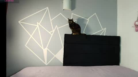 zpzphot online show from 03.25.26