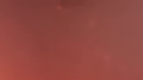 Zuckerzel online show from 04.12.26