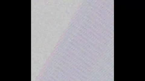 Zuko online show from 01.28.25