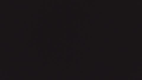 ZURY   online show from 10.22.25